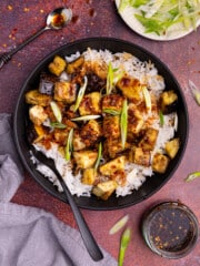 a pile of chili garlic eggplant over rice garnished with green onions