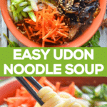 Easy Udon Noodle Soup