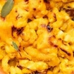 Vegan Pumpkin Mac & Cheese