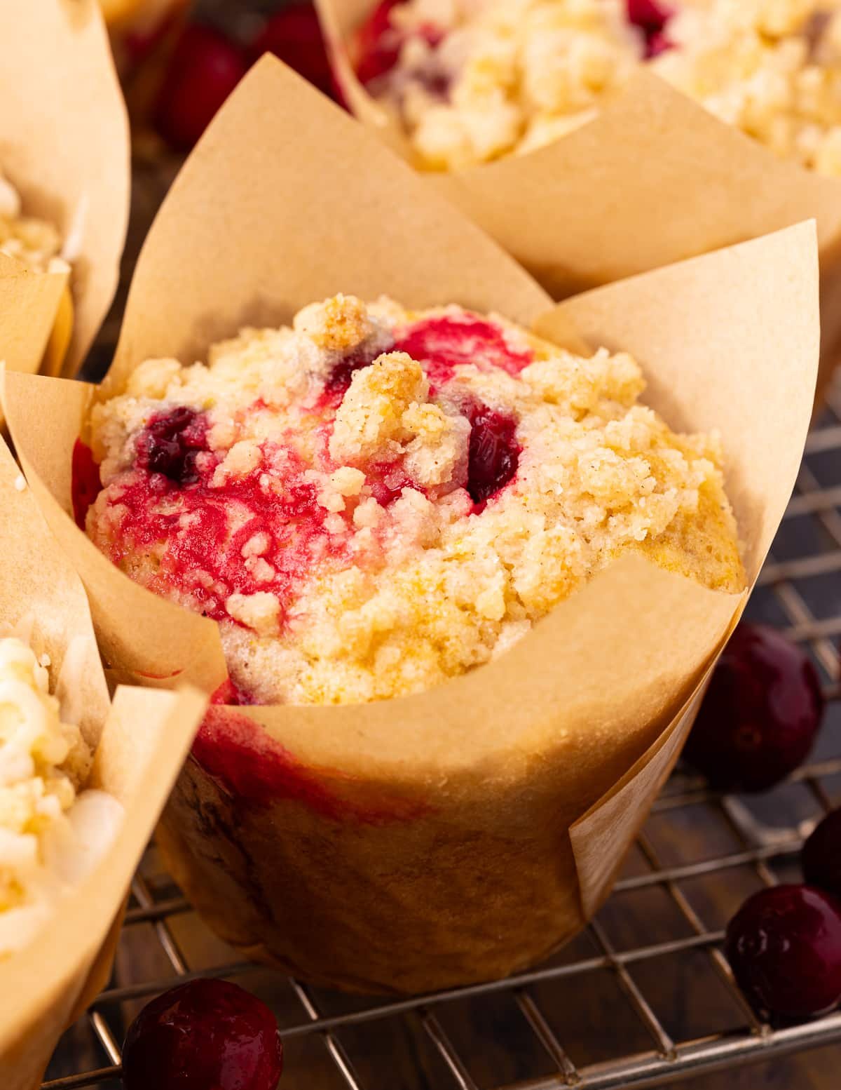 a single cranberry orange muffin in a brown paper tulip muffin case