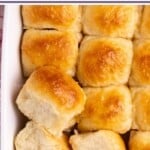 No Knead Vegan Dinner Rolls