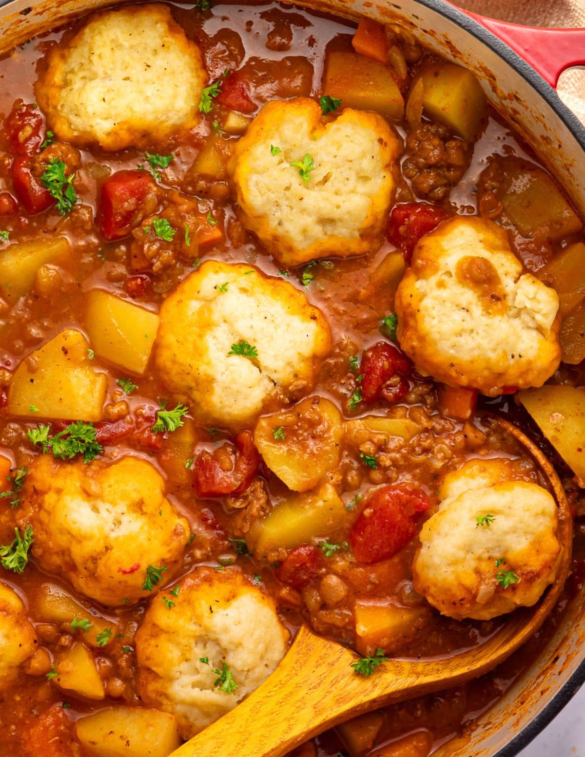 stew with fluffy vegan dumplings floating on top