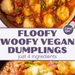 Floofy Woofy Vegan Dumplings