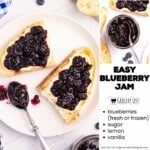 easy blueberry jam