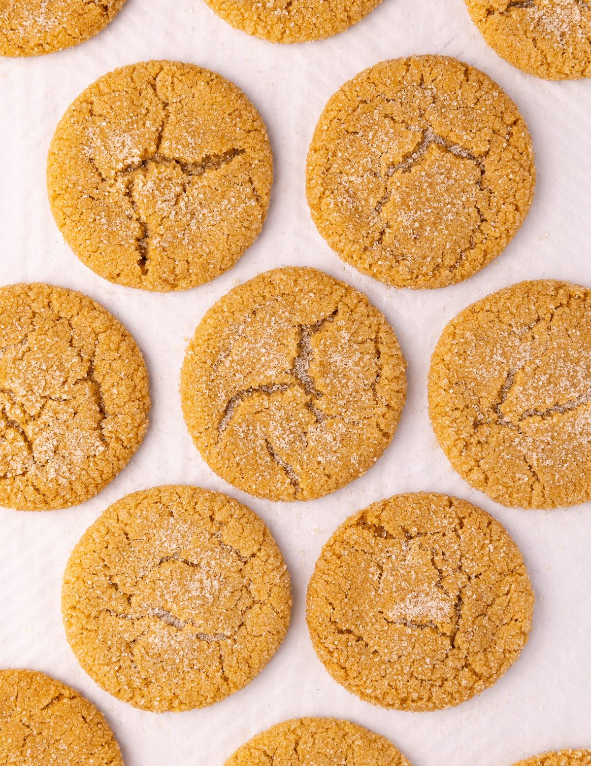 crinkly gingersnap cookies