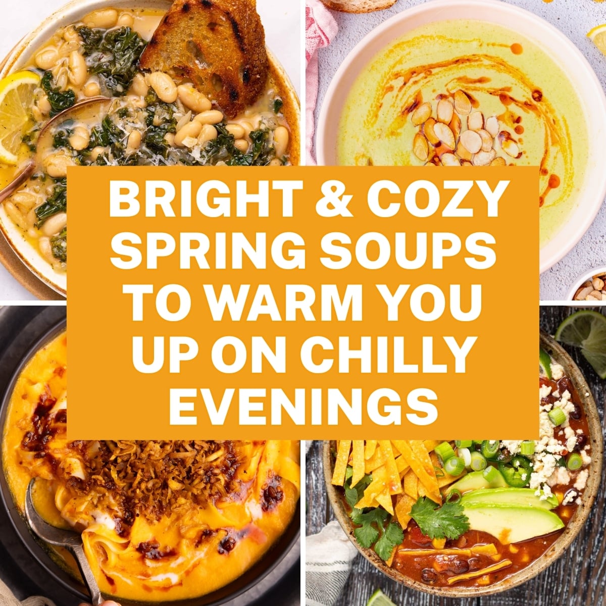 Bright and cozy spring soup recipes to warm you up on chilly evenings