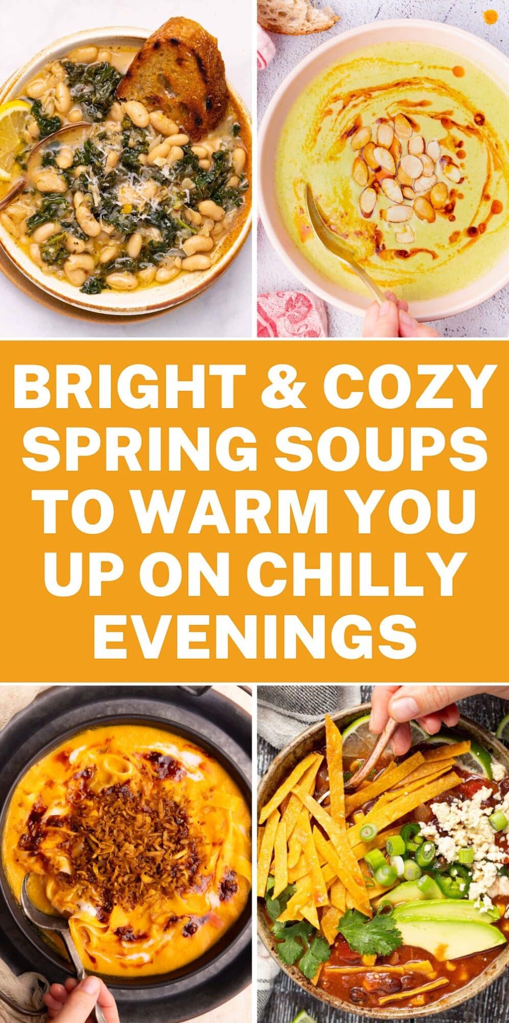 Types Spring Soup Bright & Cozy Spring Soups for Chilly Evenings