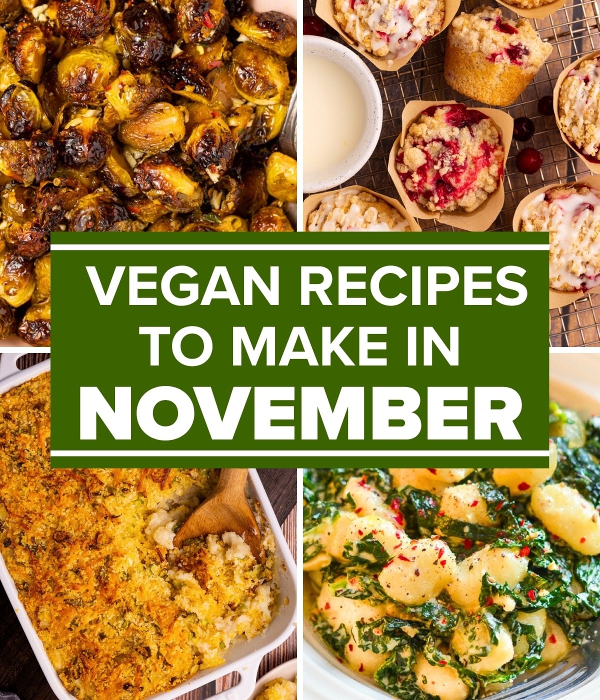 vegan recipes to make in november